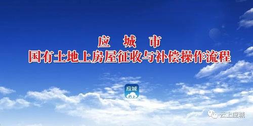今日应城新闻爆料最新